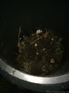 kompost4